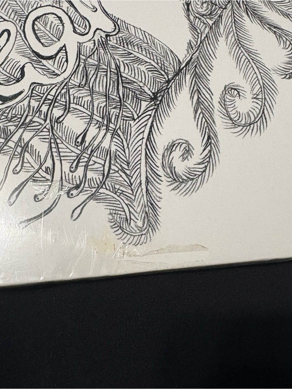 Sale‼️ Bjork “ Vespertine” Vinyl Record - Picture 4 of 5